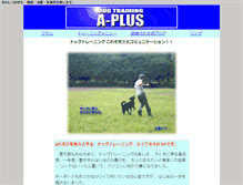 Tablet Screenshot of aplus2005.com